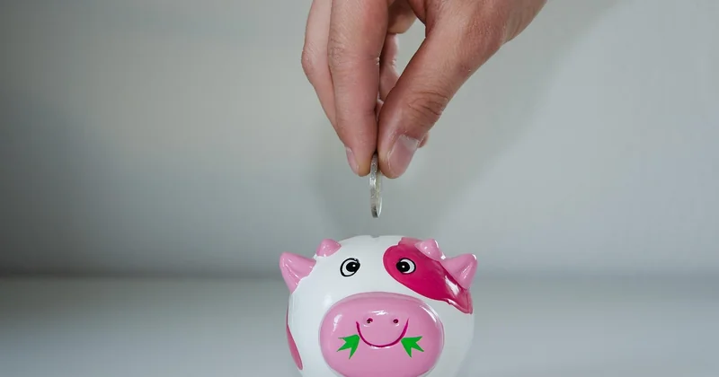 Le plafond de 20 000 € : le vrai fonctionnement du Livret Cerise