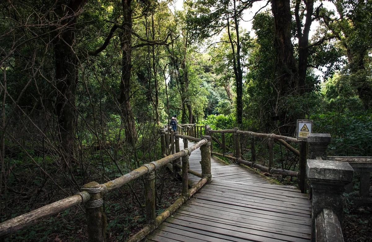 Onboarding et intégration : la première impression qui dure toute une carrière