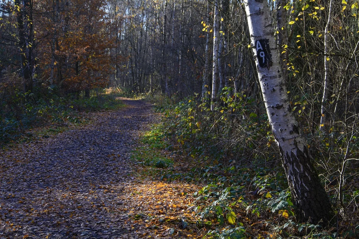 Création d'entreprise (SASU, EURL) : la voie de la scalabilité
