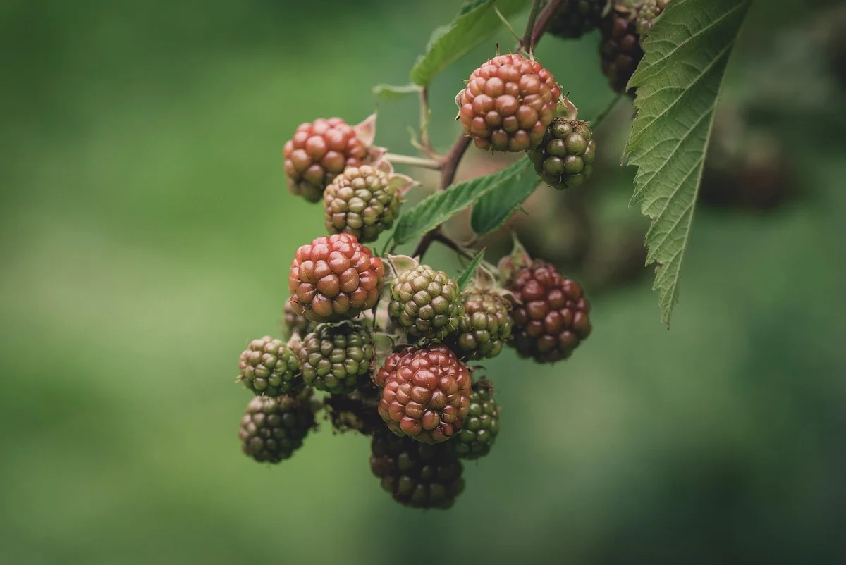 L'optimisation du processus qui tue les fuites et booste la conversion