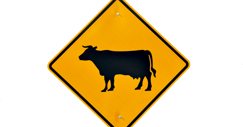 Losange jaune panneau : que signifie ce signal routier ?