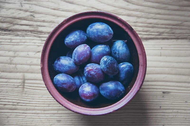 Alimentation des sylae : le nerf de la guerre