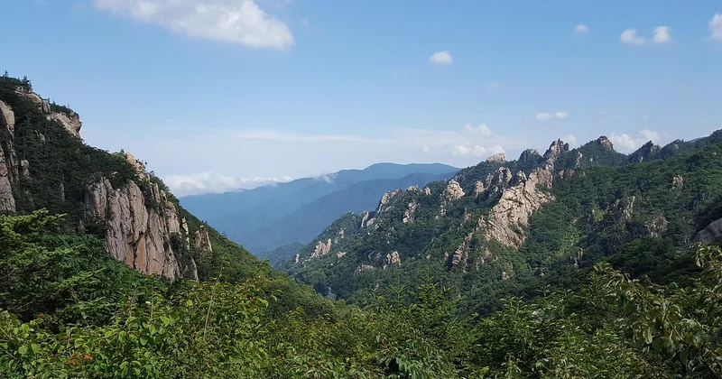 Avant de vous lancer : les limites qu'on ne vous dit pas